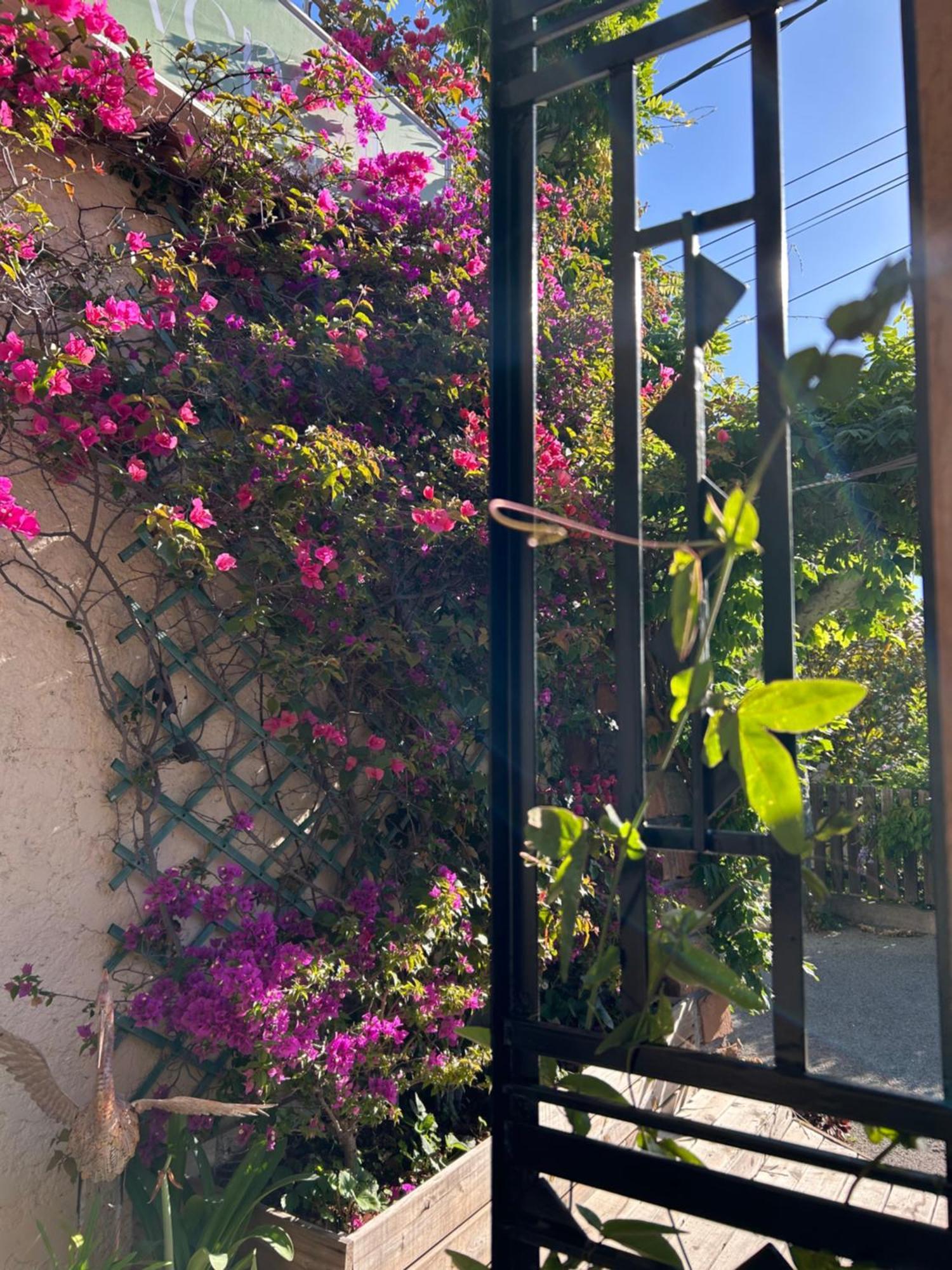 Hotel Auberge Provencale Saint-Raphael  Bagian luar foto