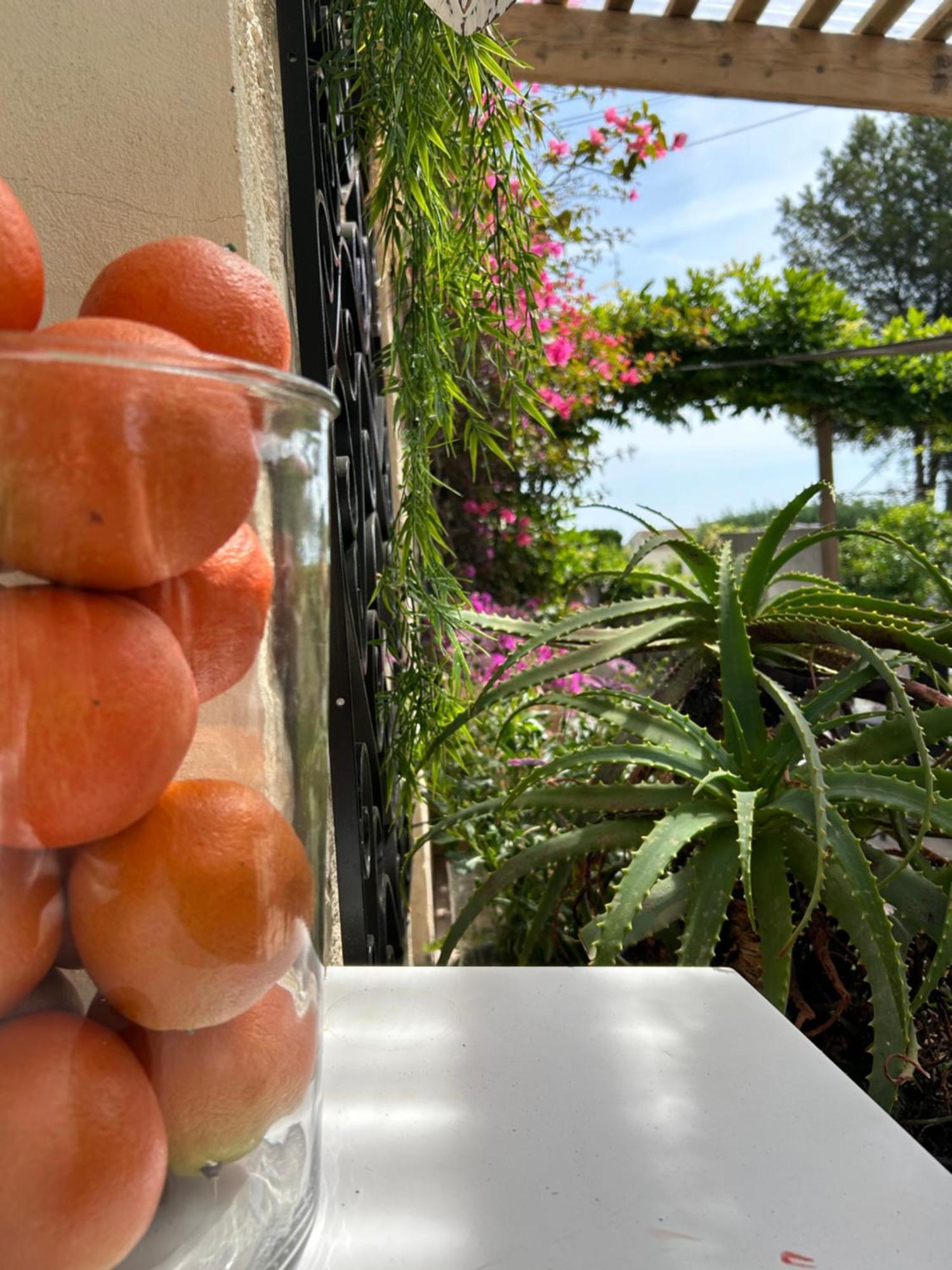 Hotel Auberge Provencale Saint-Raphael  Bagian luar foto